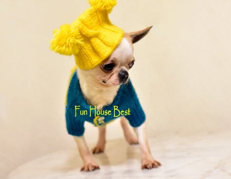 МАЛЬЧИК чихуахуа ПРОДАН!